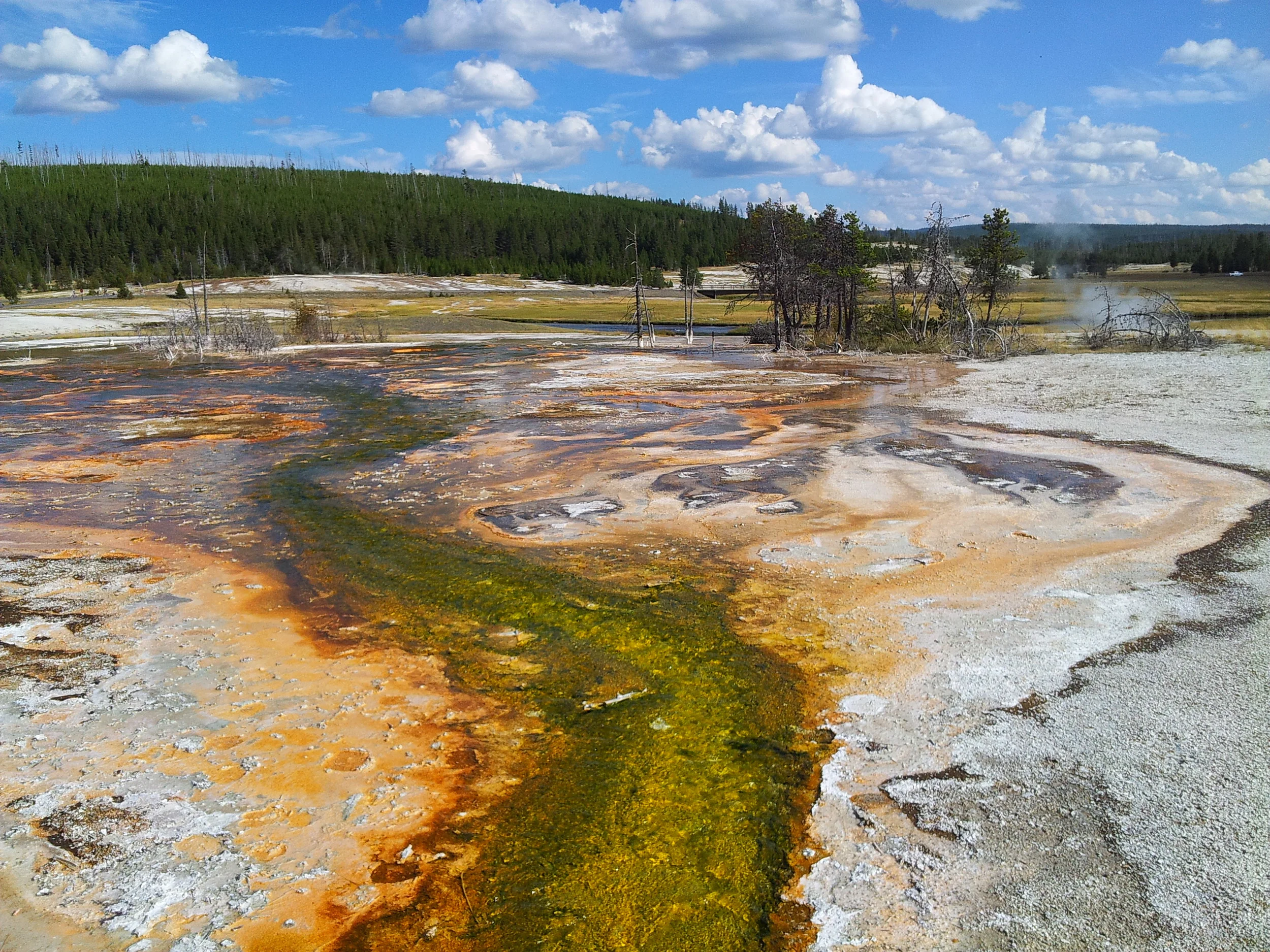 20130903_163145.jpg
