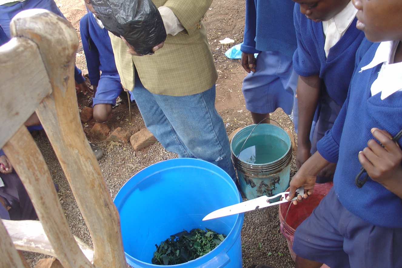 students making pesticide 2.jpg