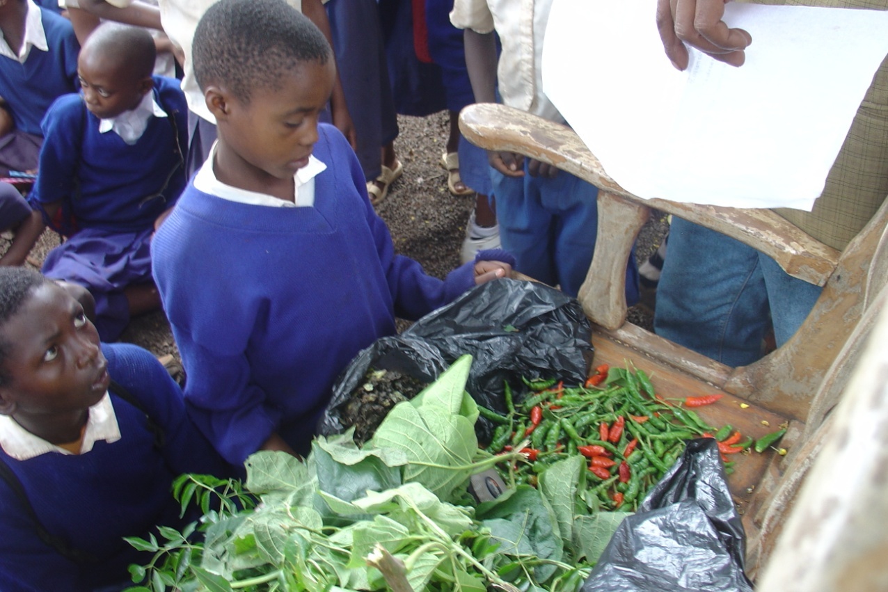 students making pesticide.jpg