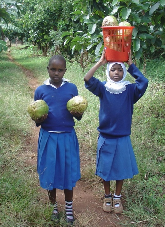 Farming "Fanta Passion" fruit