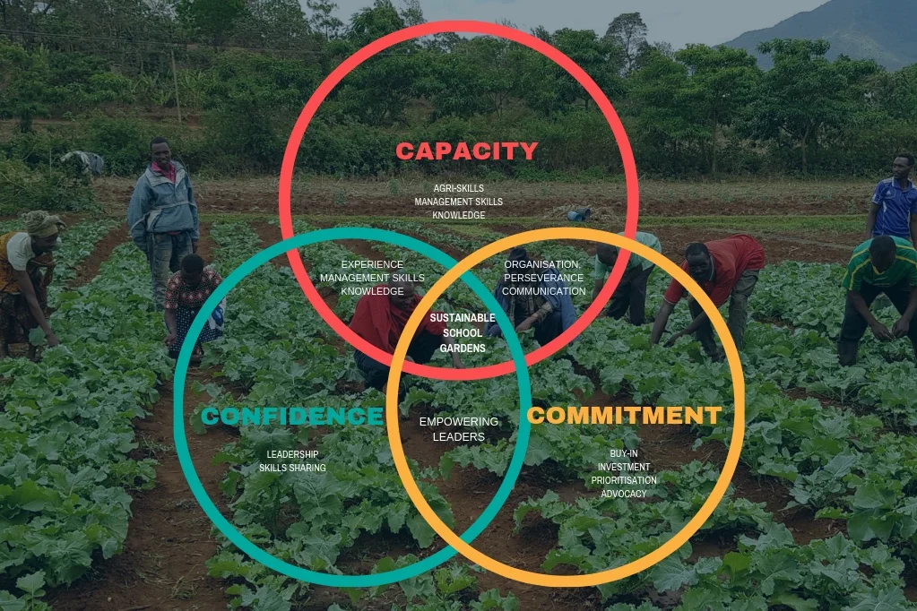 3+cs+of+market+gardens.jpg