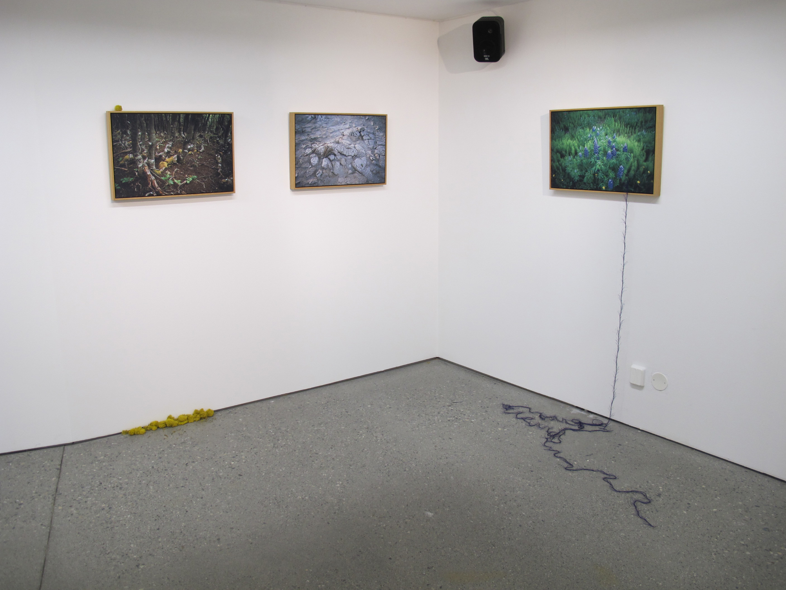 Museum of Hope, Trondheim Kunstmuseum, Gråmølna, 2012