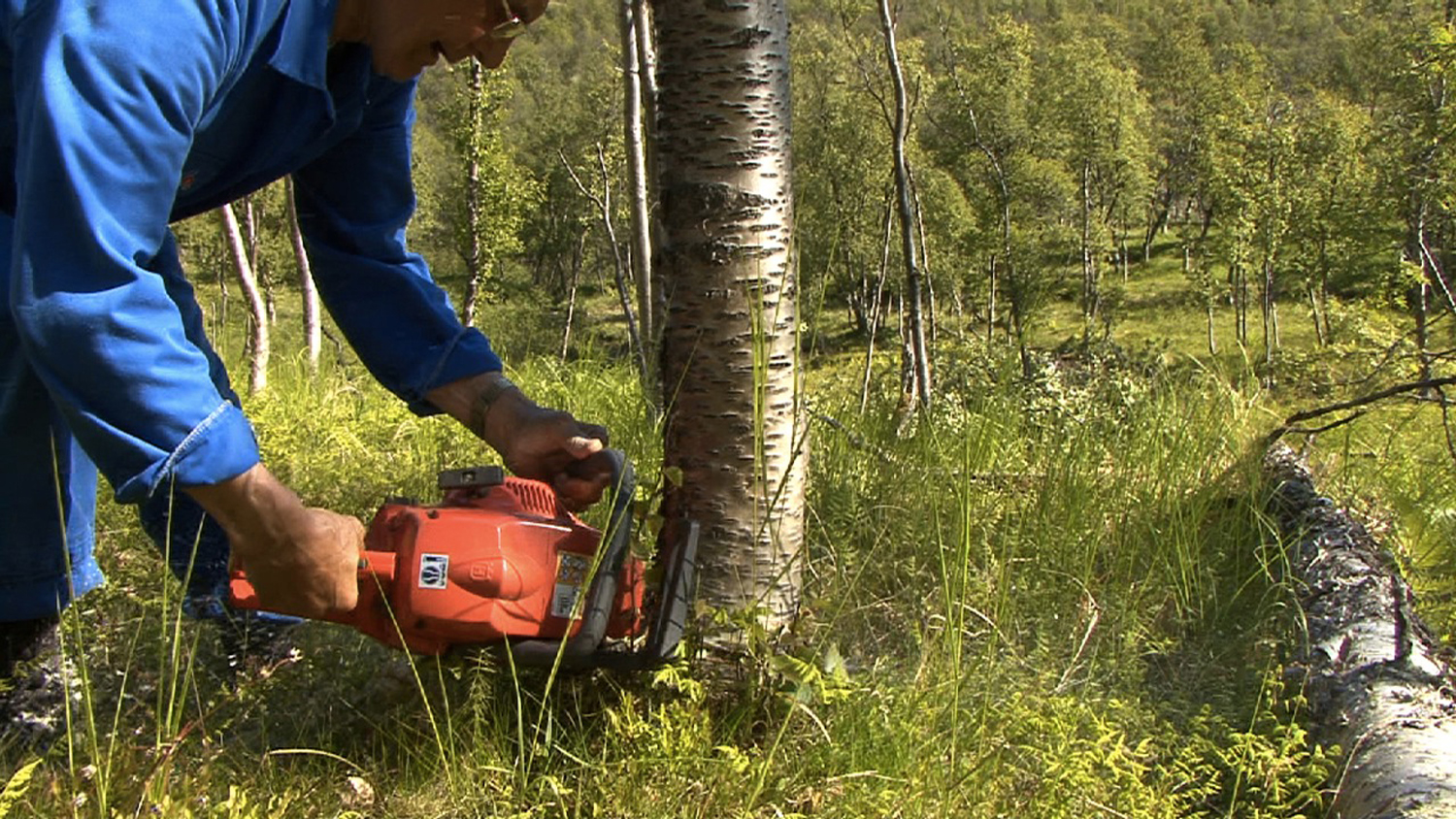 Still Retten til landet og vannet II.jpg