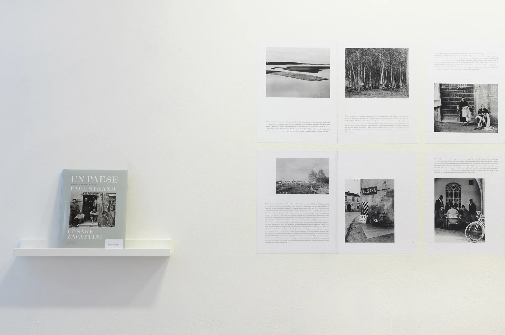 20 Stills The King's Peace 2014.JPG