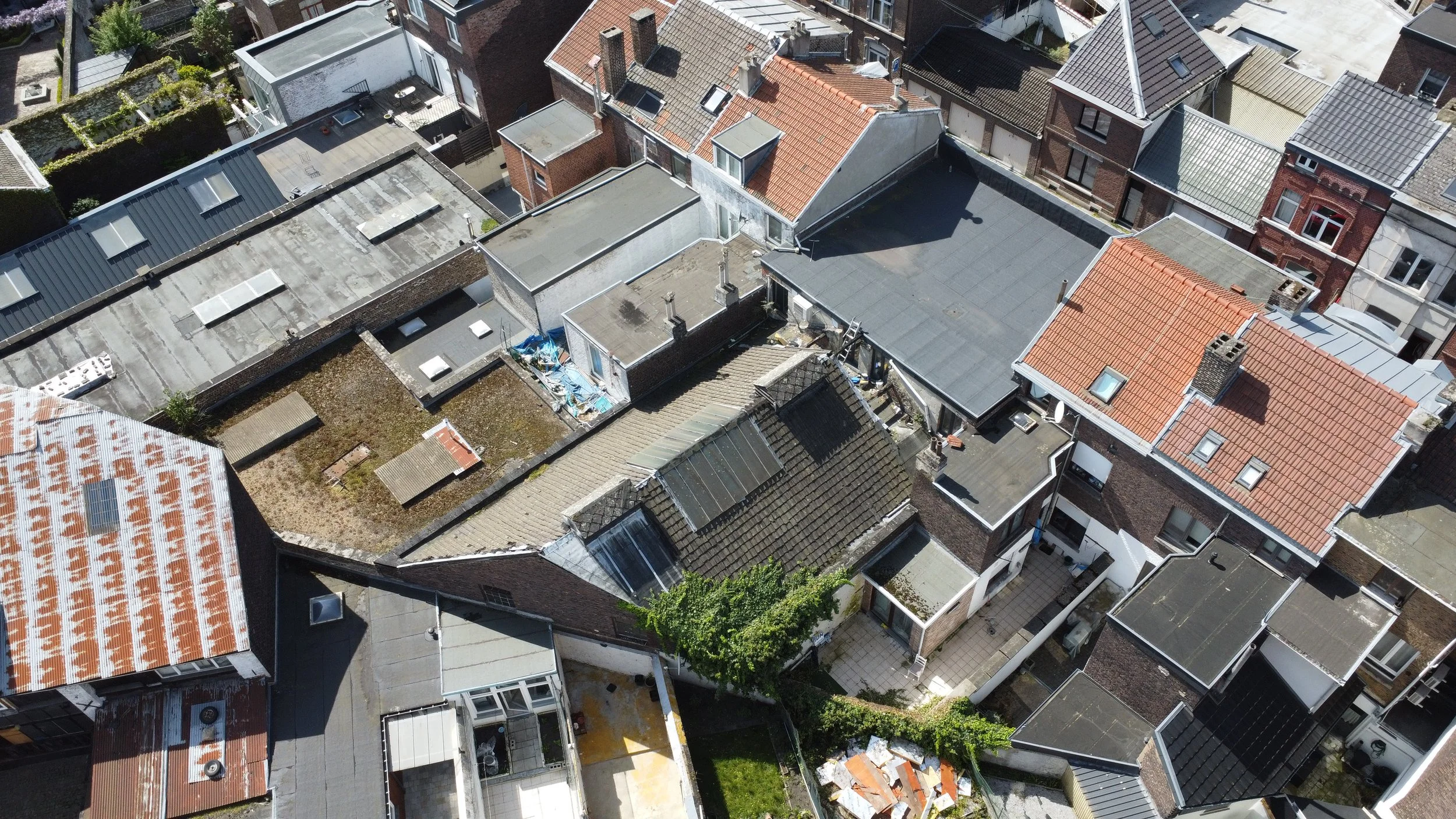 dji_fly_20260415_144122_447_1776257170034_photo_optimized.jpg
