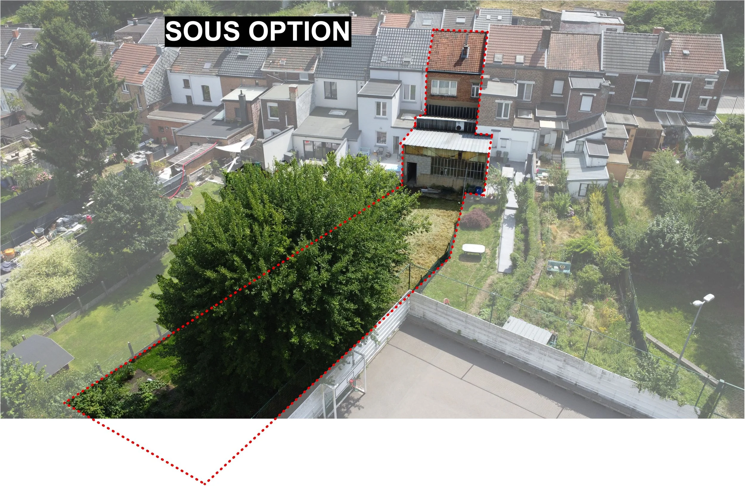 2505_Sous option.jpg
