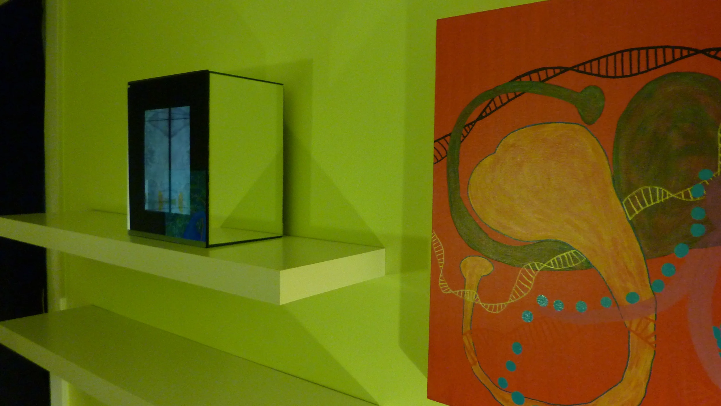  A view of the mirror box on the shelf looking from the side. 