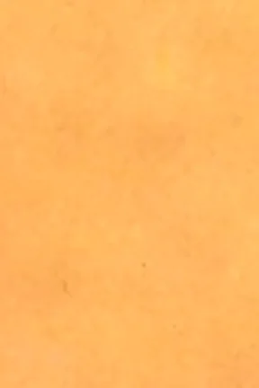 SP101 10 L 4 x 6 .jpeg