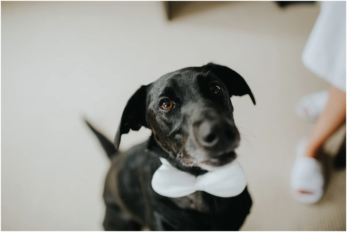 berkshire pub wedding8.jpg