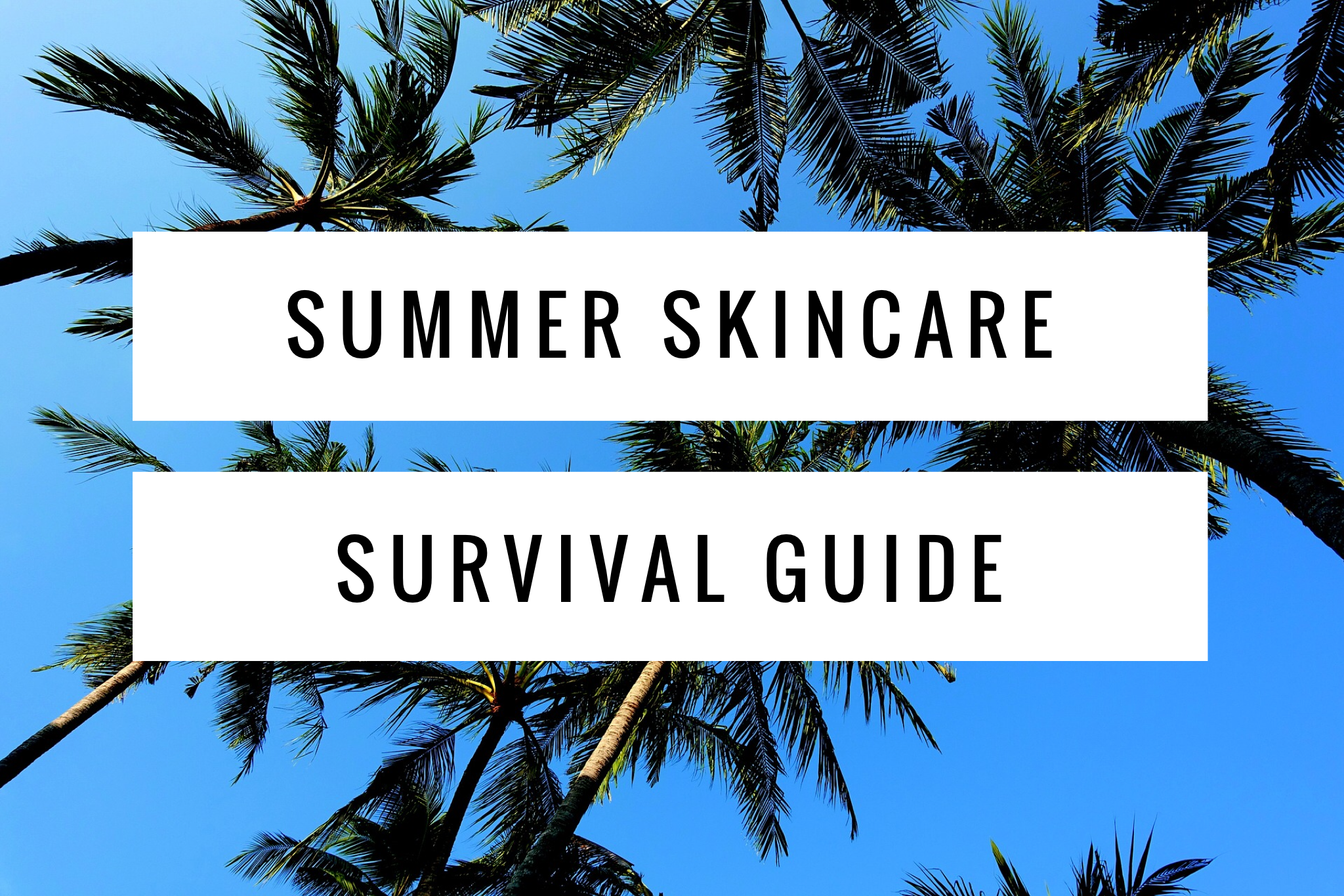 Summer Skincare Survival Guide