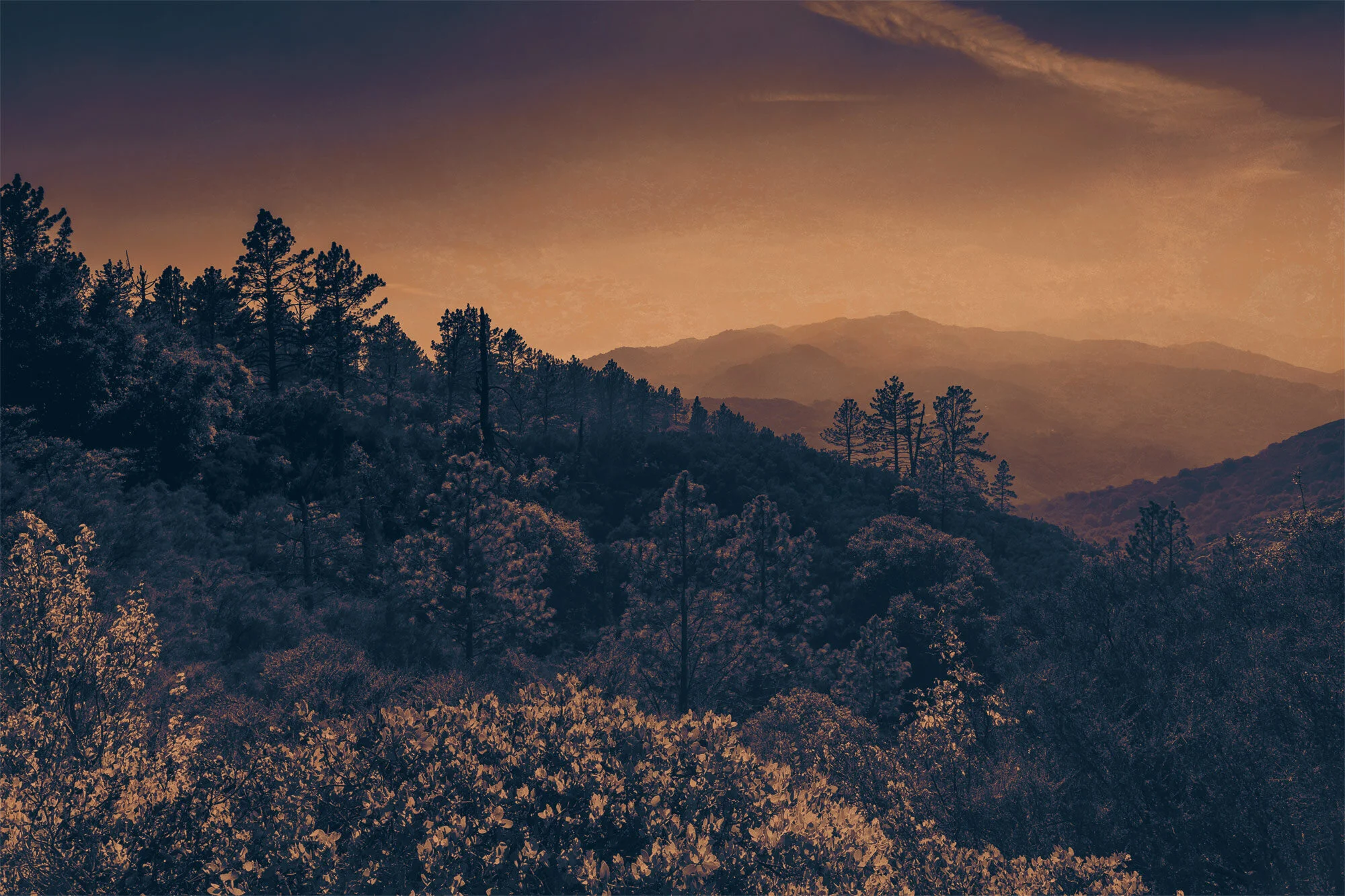 Top of the mountains in Santa Barbara, looking northwest to Santa Ynez and beyond.
