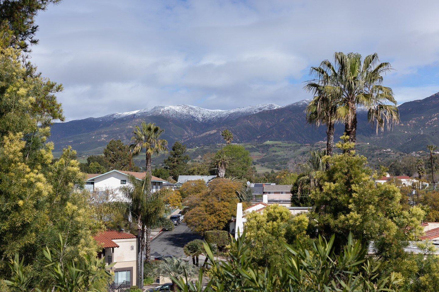 #Palms and #snow capped #mountains