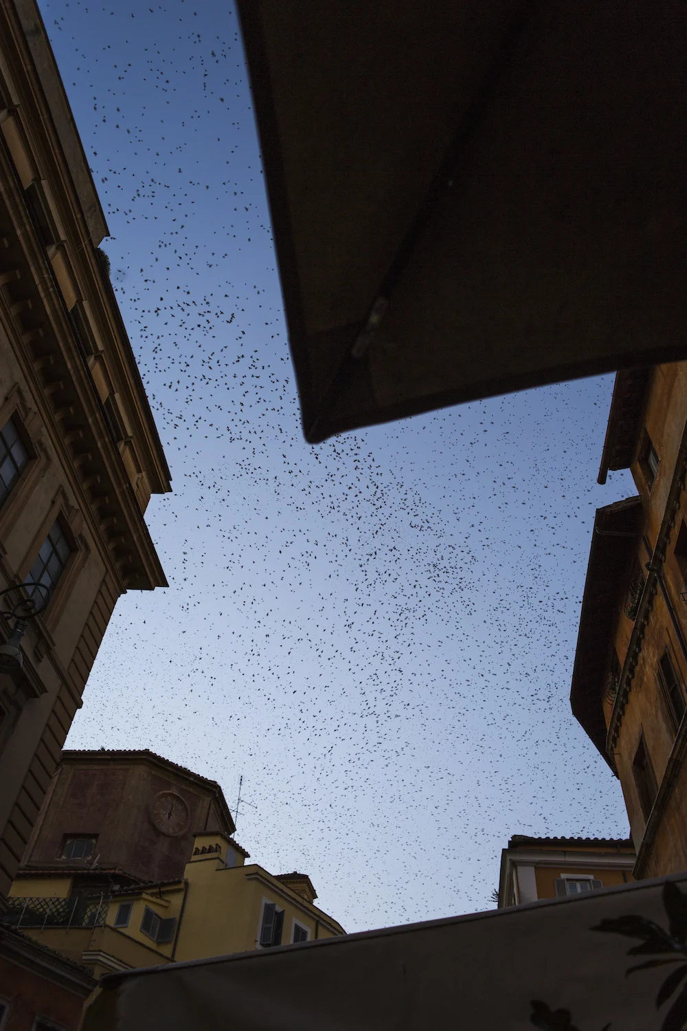 Rome - 2015