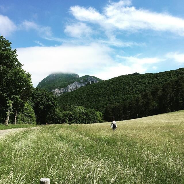 C&rsquo;&eacute;tait la rentr&eacute;e hier. Avec bien entendu les masques, le gel, la distance de s&eacute;cu...Projet long M. on continue...feat la talentueuse @rimbertn dans la for&ecirc;t de Saou. #tournage