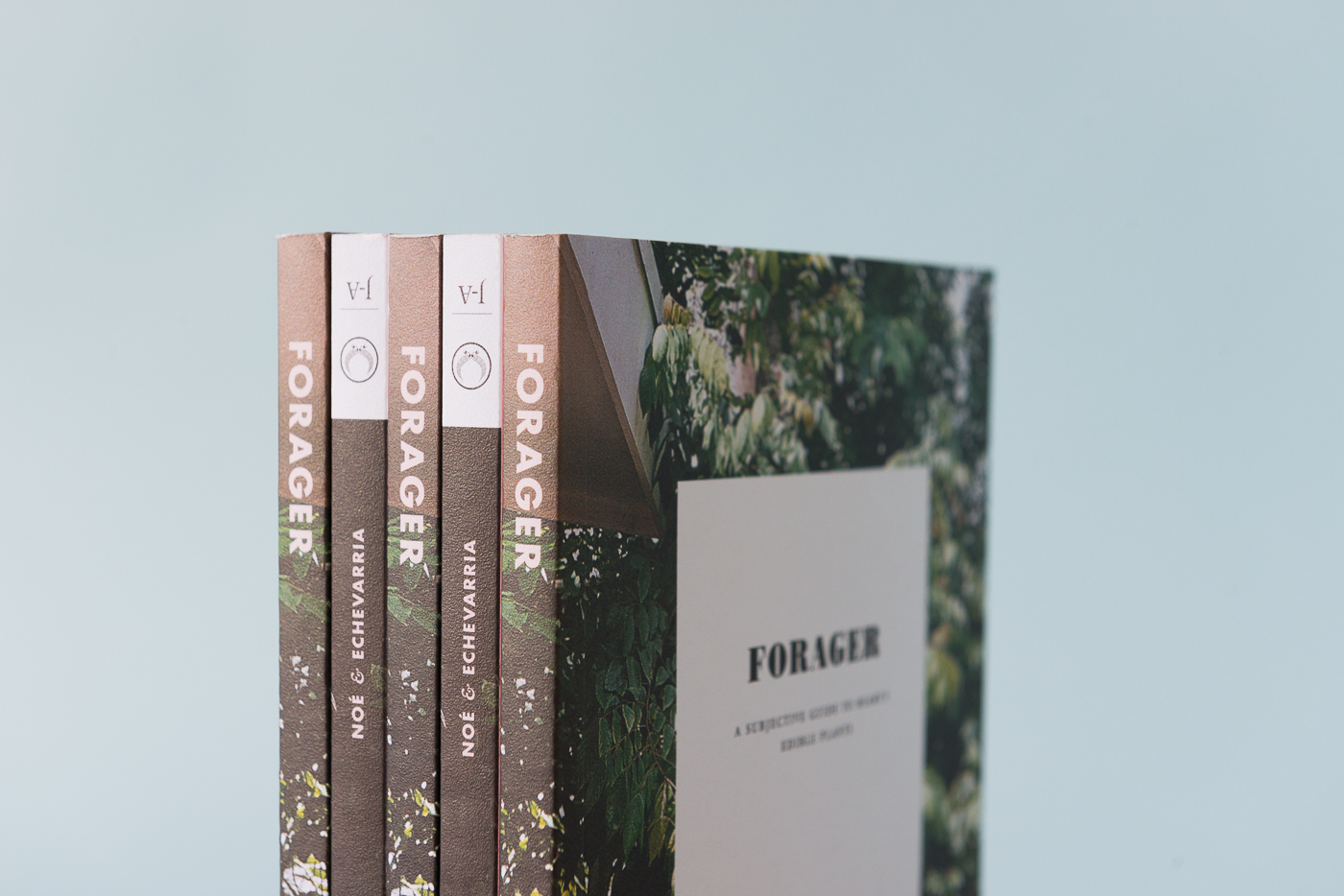 Forager-a-subjective-guide-5787.jpg