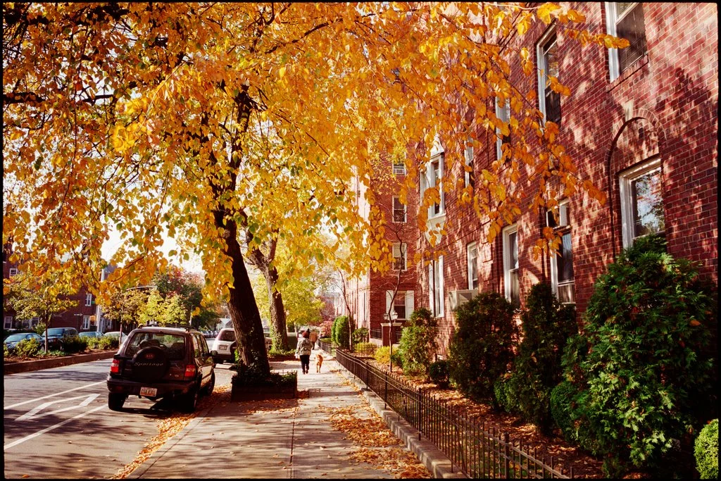 Neighborhood focus:           Jackson Heights, Queens