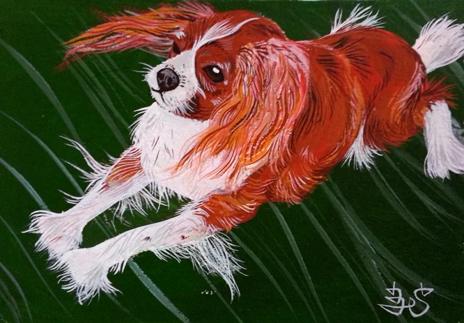 doggy10.jpg