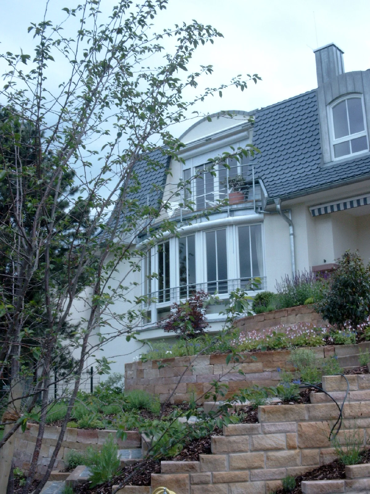 SIMG0451.JPG