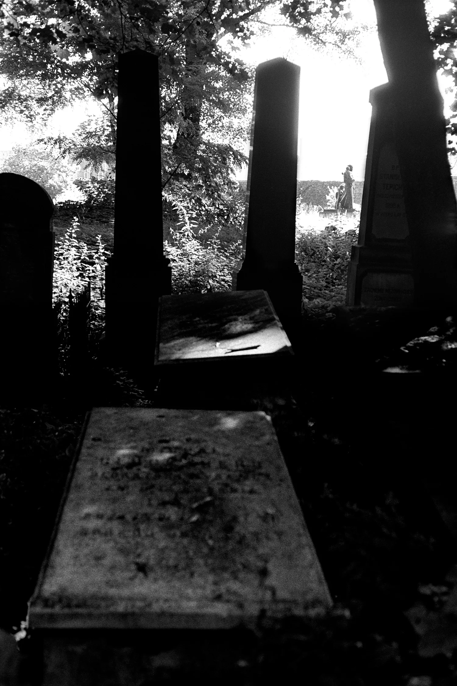 Old Jewish Cemetery