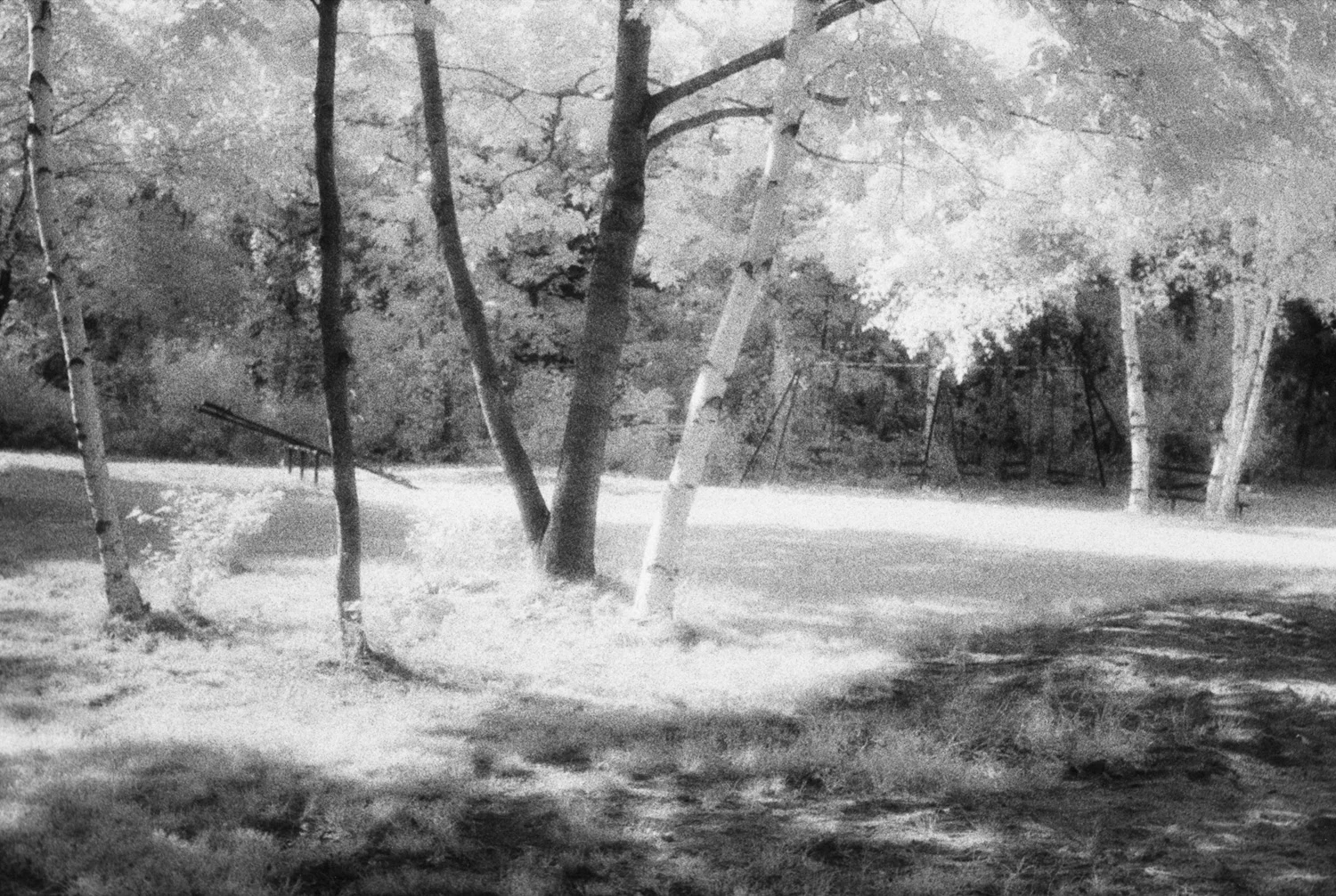 Island Glen