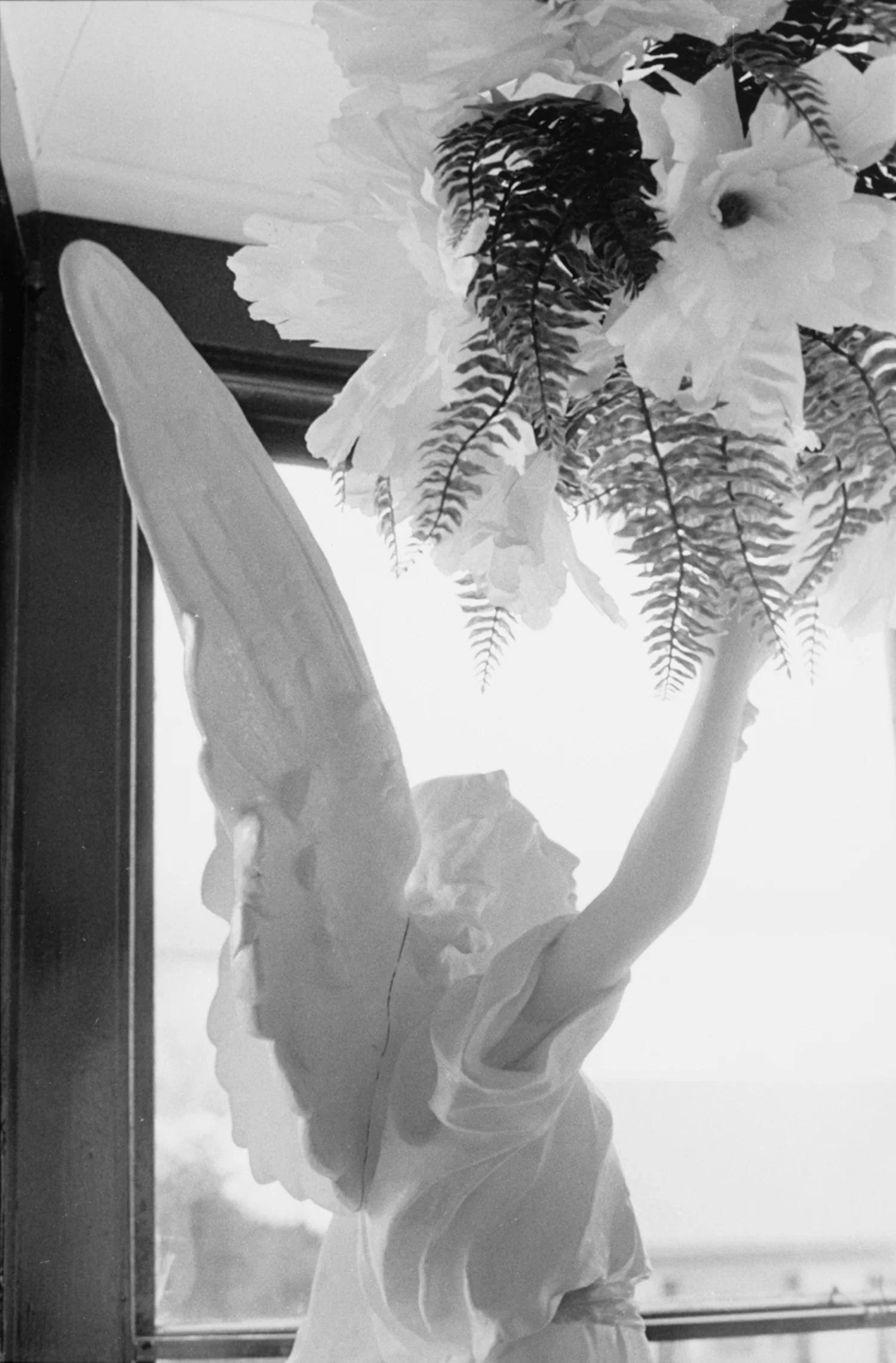 Angel