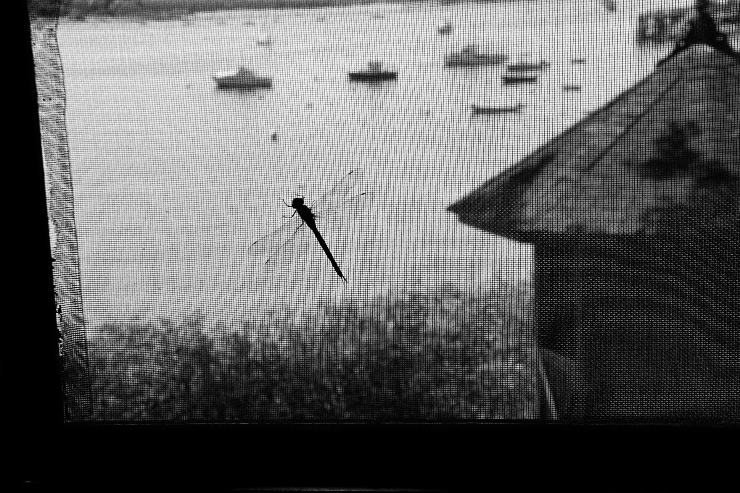 Summer Porch, Great Diamond Island, Maine, 2003 Gelatin silver print