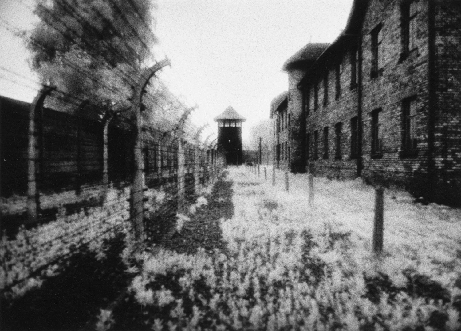 Exterior, Auschwitz Concentration Camp, Poland, 1990 Infrared Gelatin Silver Print ©Judy Ellis Glickman. All Rights Reserved