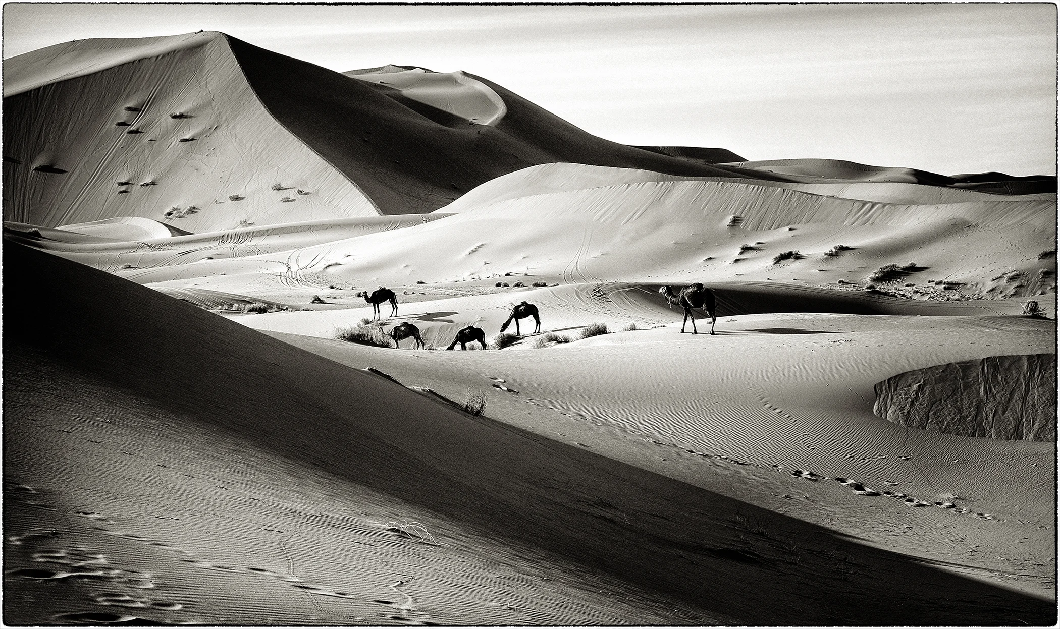 Merzouga, Morocco