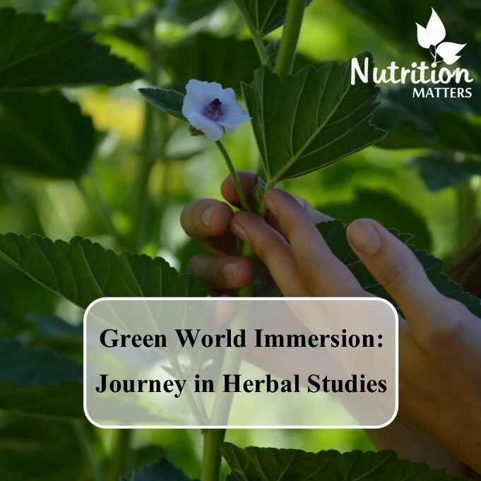 Green World Immersion: 4 Month Herbal Medicine Immersion Course