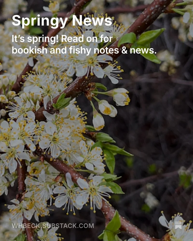 Springy News