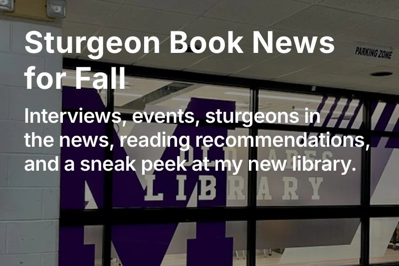 Substack Newsletter link