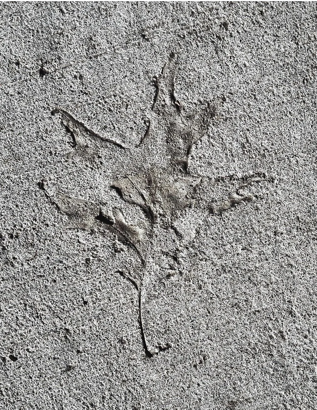 Sands of Time