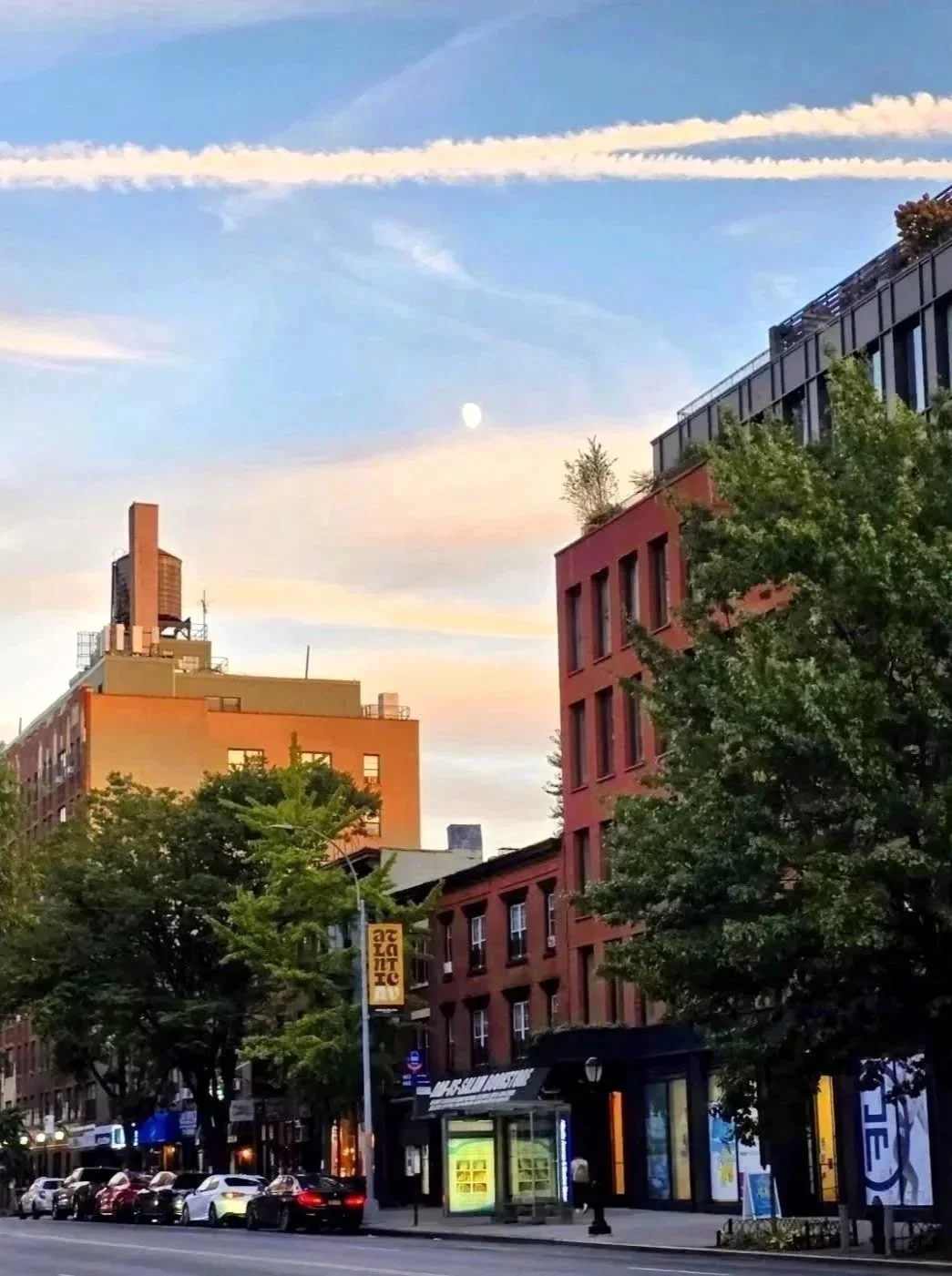 Daytime Moon
