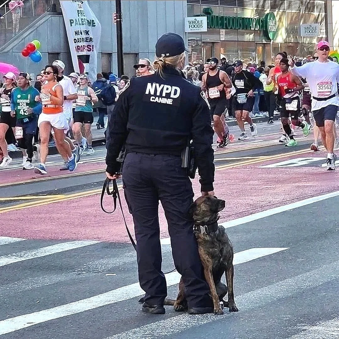 On Duty
