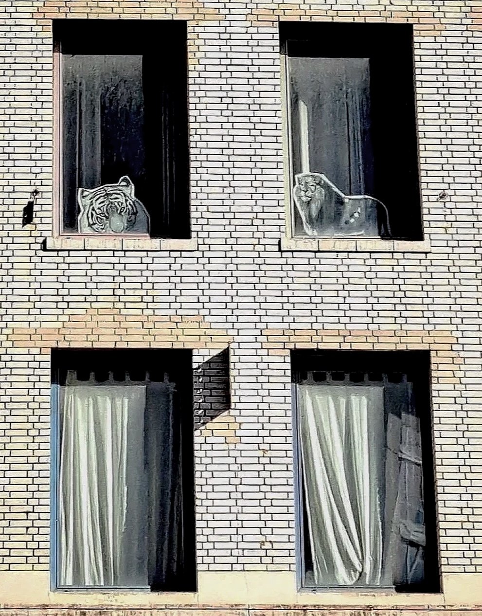 Windows