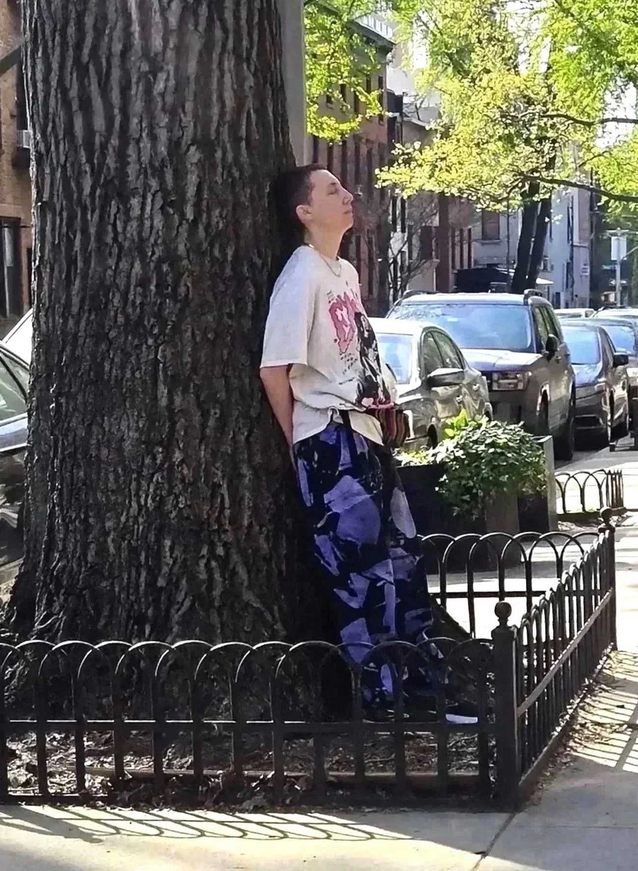 Tree Therapy