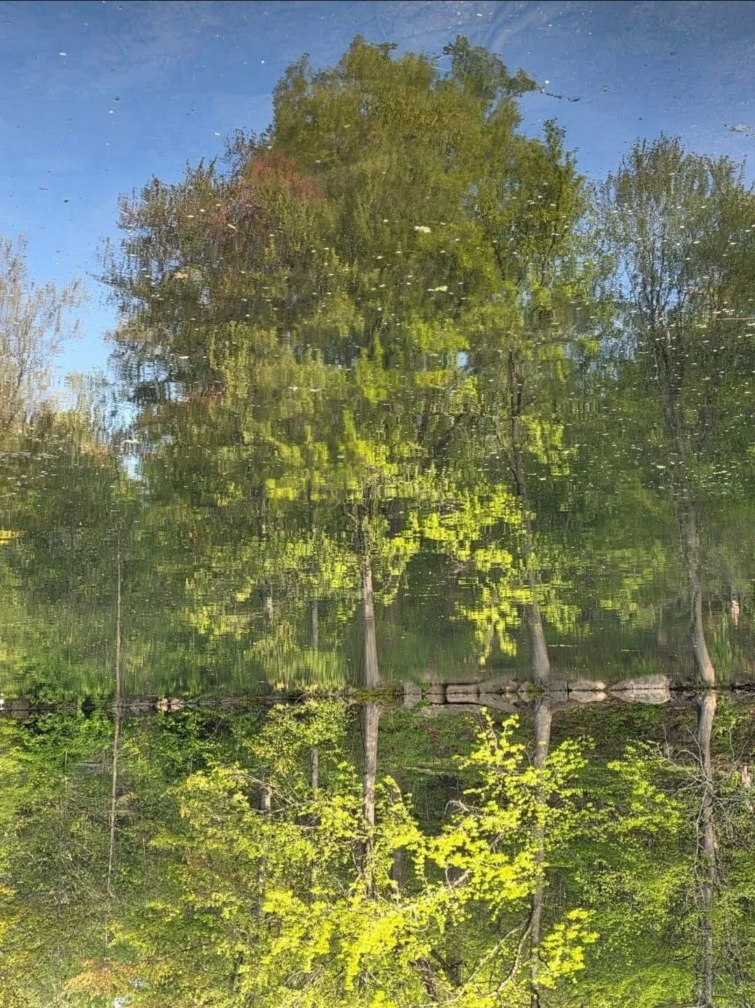 Reflection