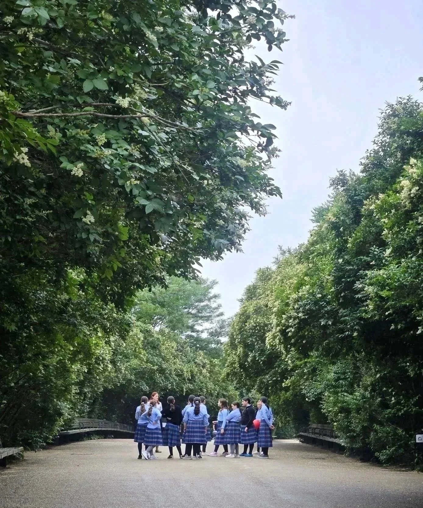 Field Trip