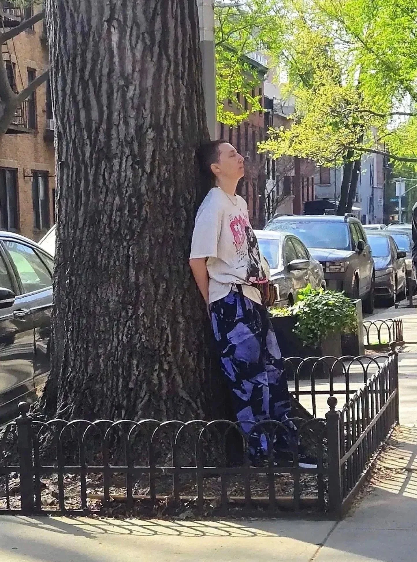 Tree Therapy