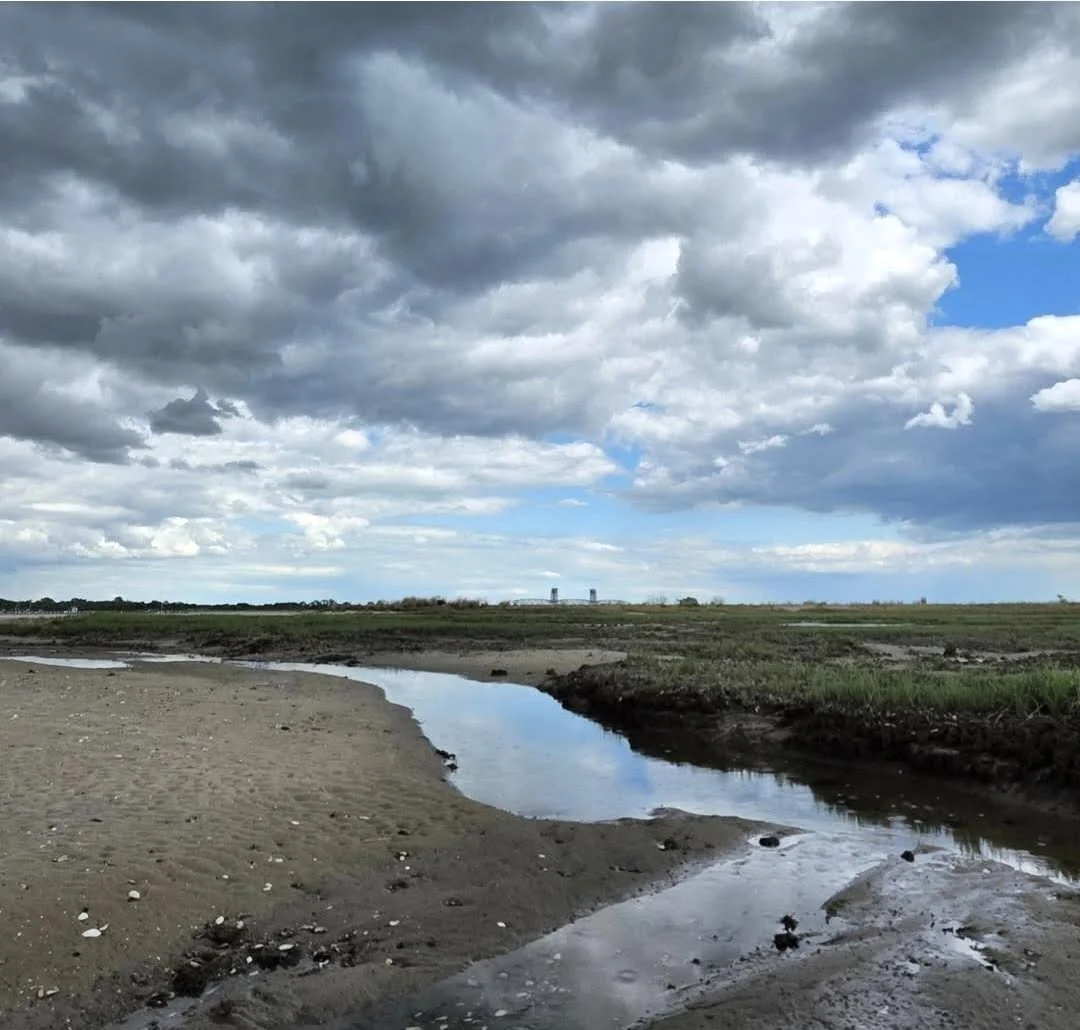 Dead Horse Bay 