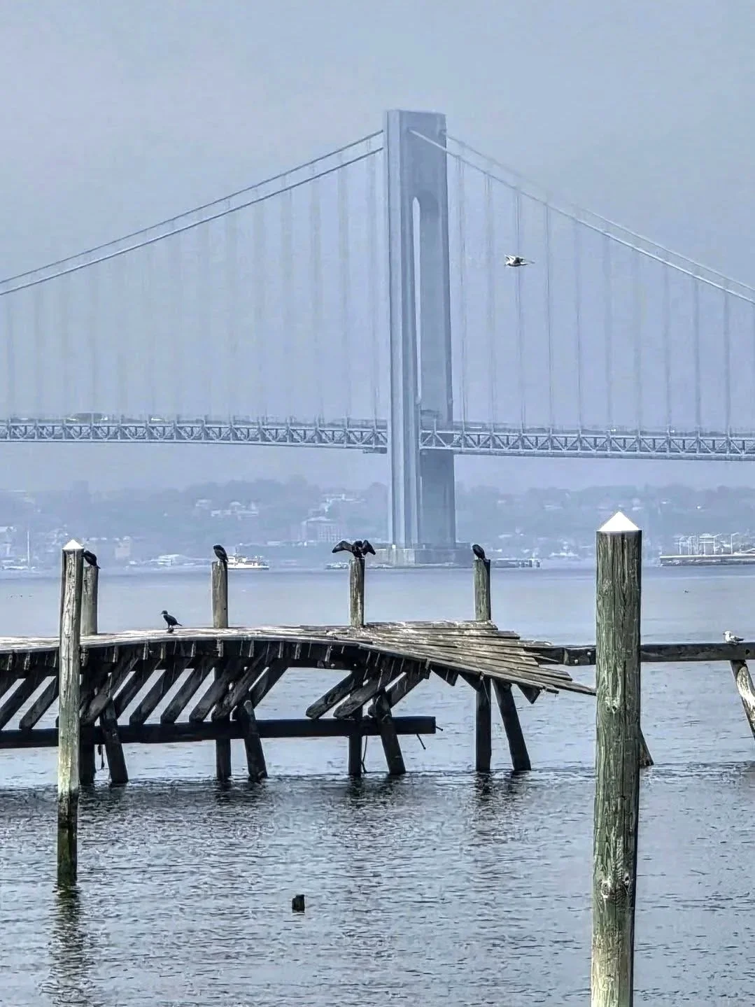 Verrazano