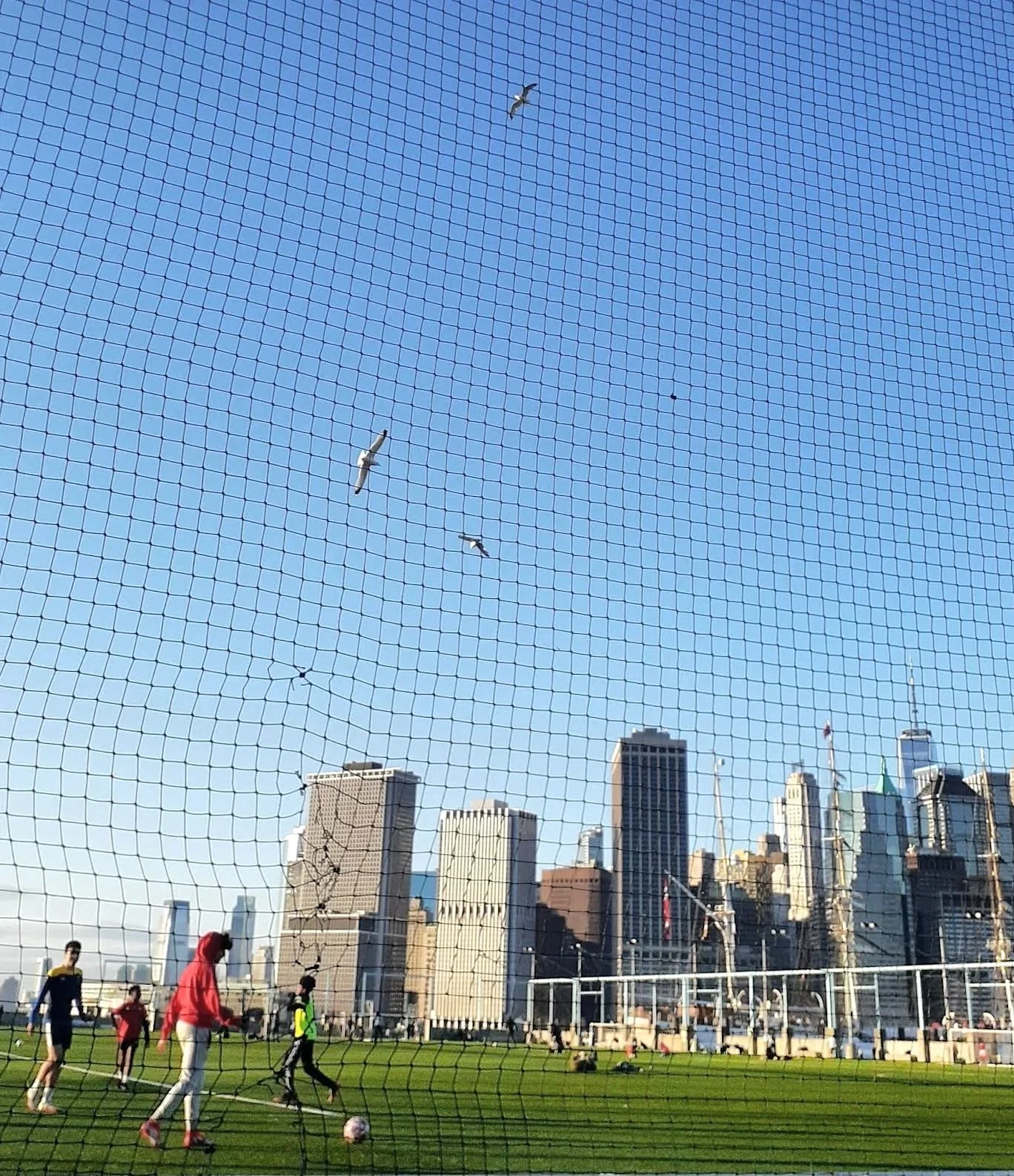 Skyline Soccer 