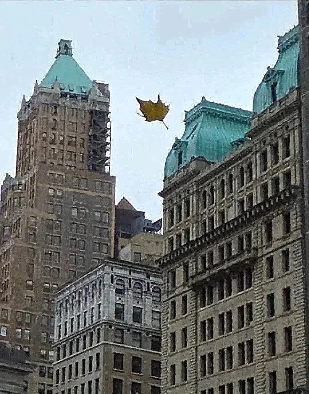 November