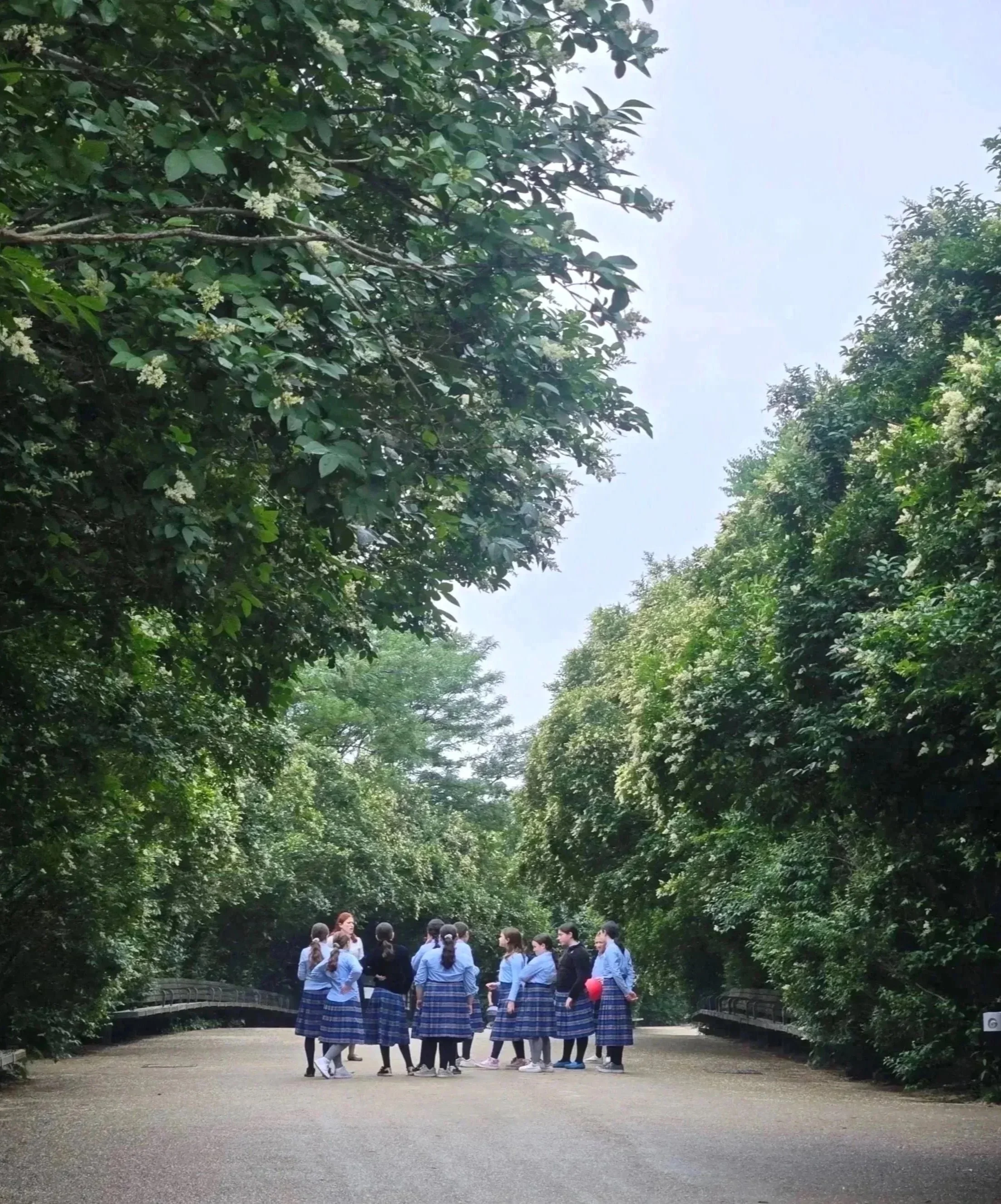 Field Trip