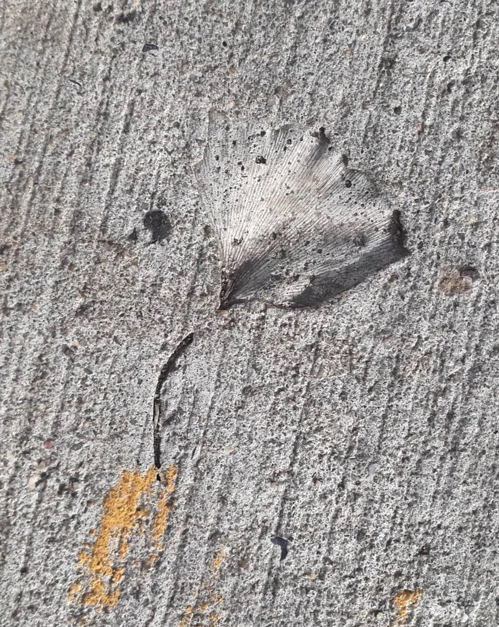 Memento 
