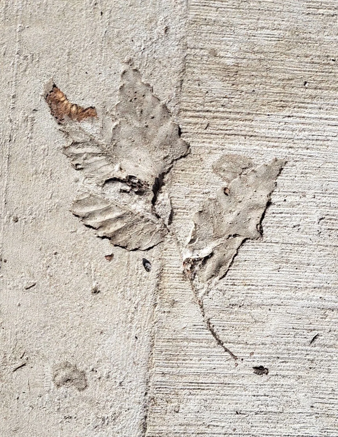 Remains