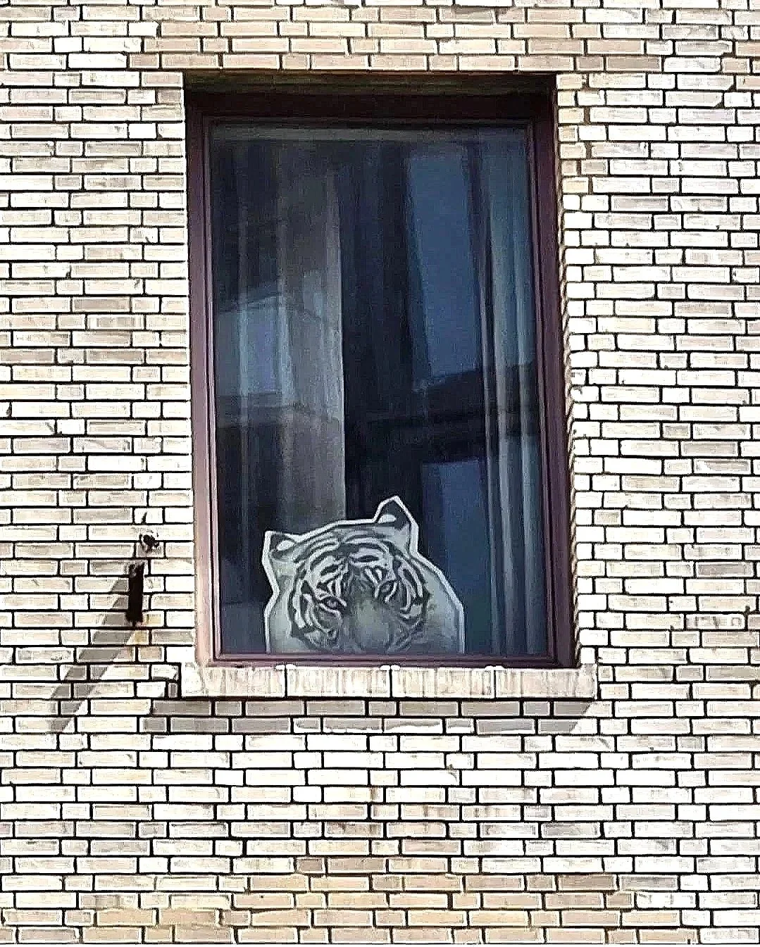 People Watching