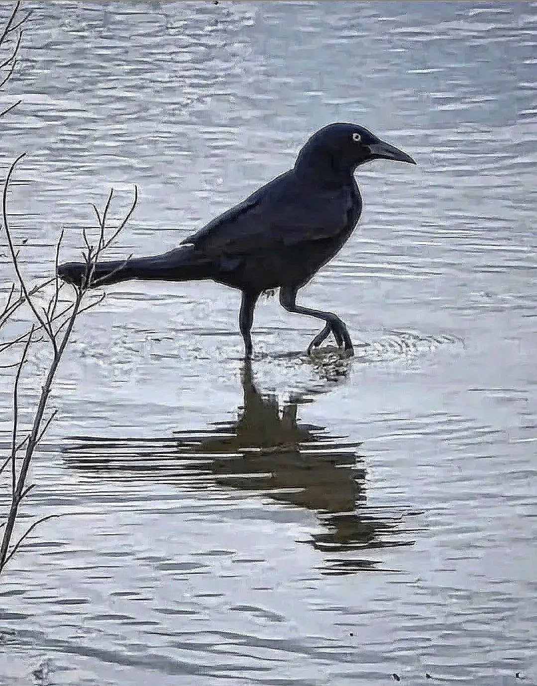 Stride
