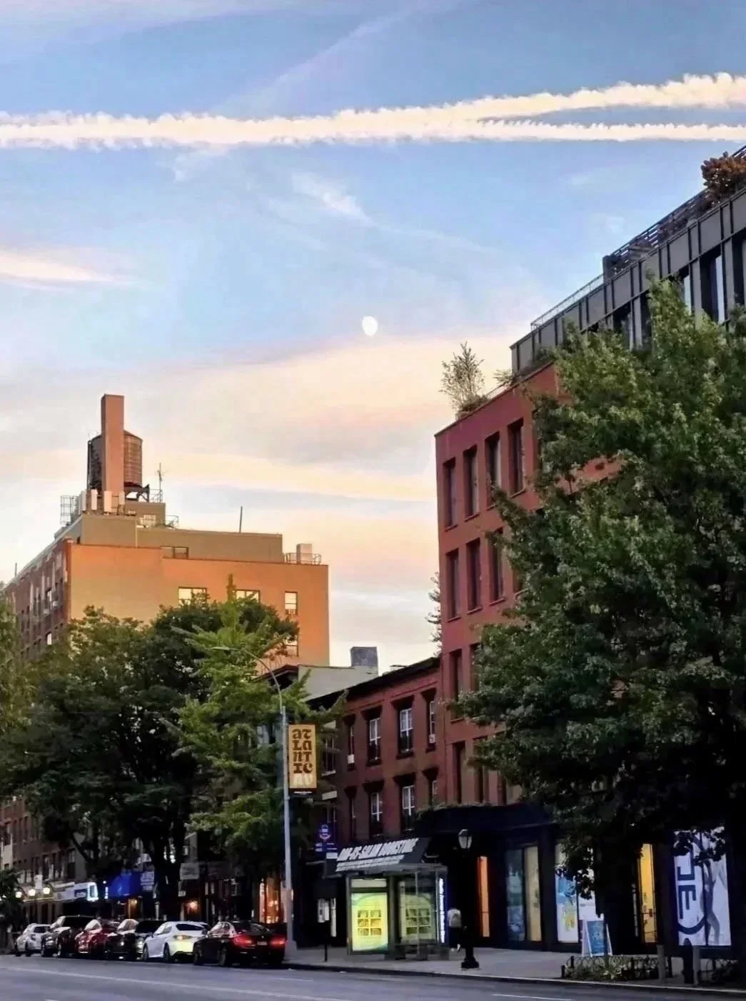 Daytime Moon