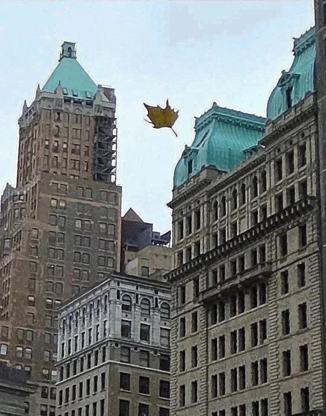 November